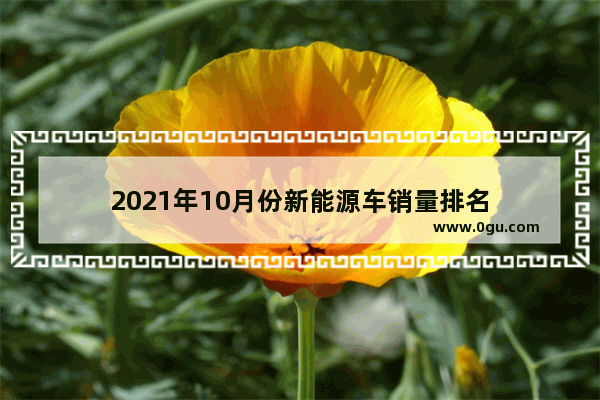 2021年10月份新能源车销量排名