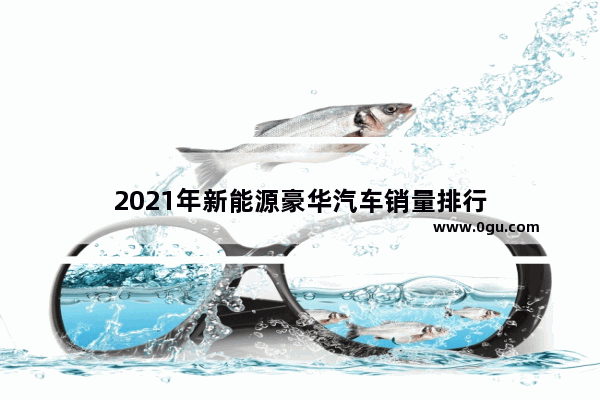 2021年新能源豪华汽车销量排行