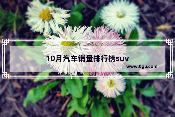 10月汽车销量排行榜suv