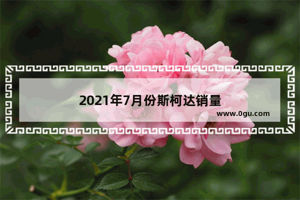 2021年7月份斯柯达销量