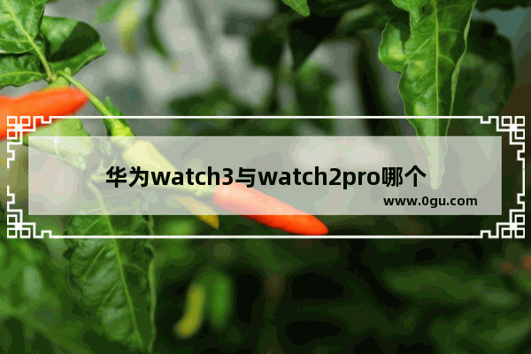 华为watch3与watch2pro哪个值得买