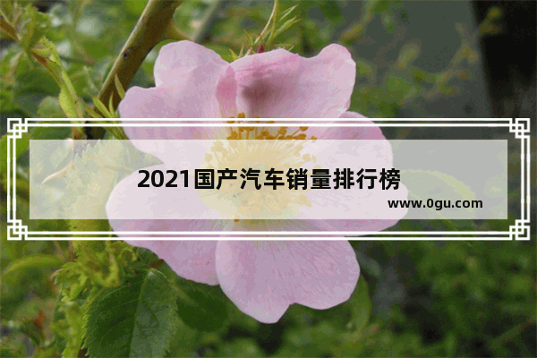 2021国产汽车销量排行榜