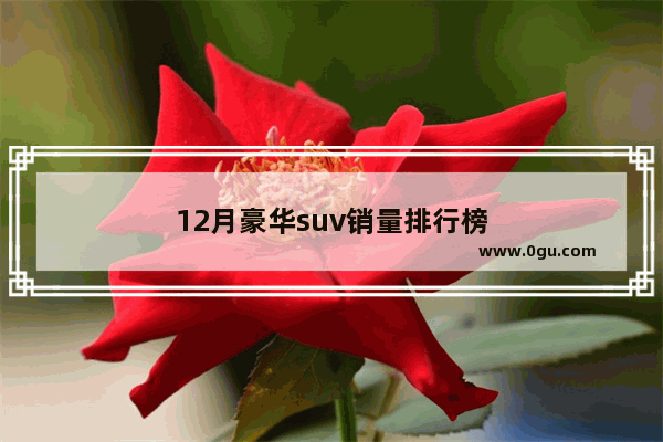 12月豪华suv销量排行榜