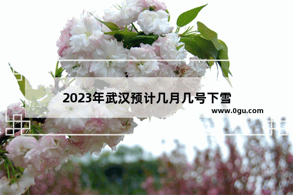 2023年武汉预计几月几号下雪