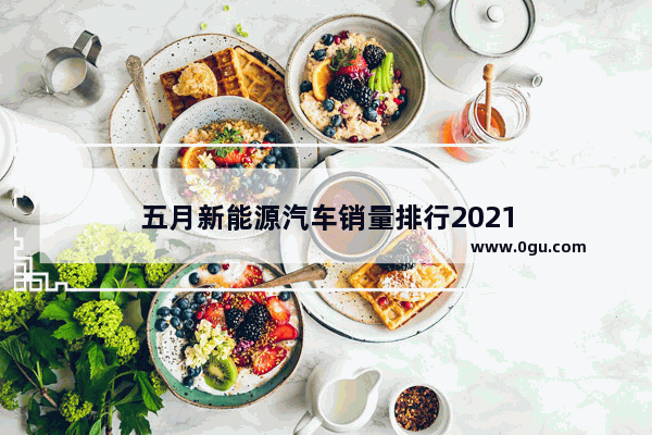 五月新能源汽车销量排行2021