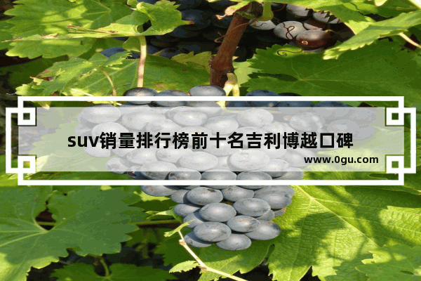 suv销量排行榜前十名吉利博越口碑