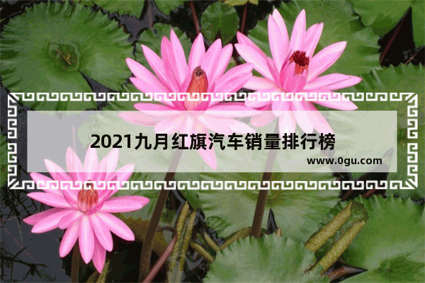 2021九月红旗汽车销量排行榜