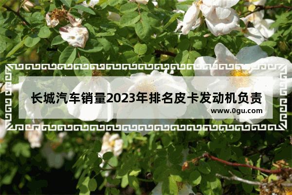 长城汽车销量2023年排名皮卡发动机负责人是谁