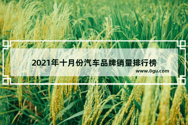 2021年十月份汽车品牌销量排行榜