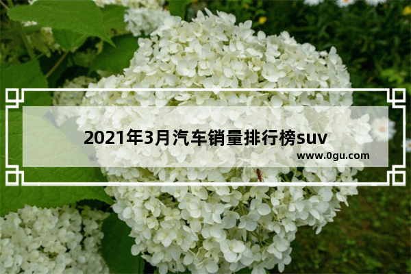 2021年3月汽车销量排行榜suv