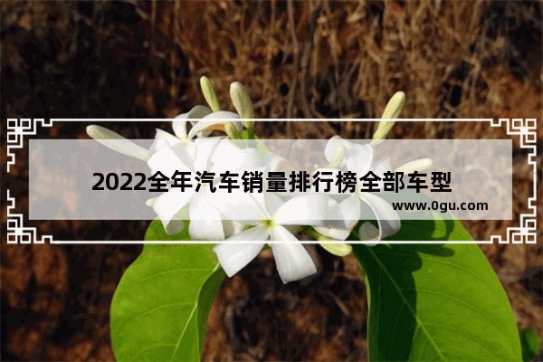 2022全年汽车销量排行榜全部车型