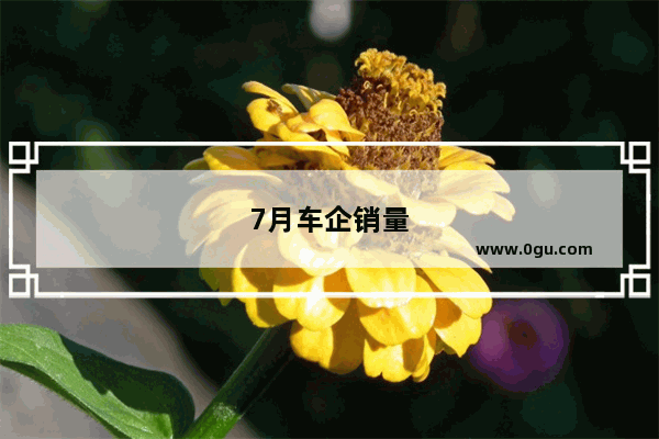 7月车企销量