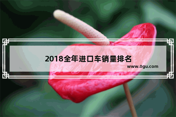 2018全年进口车销量排名