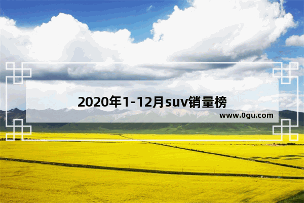 2020年1-12月suv销量榜