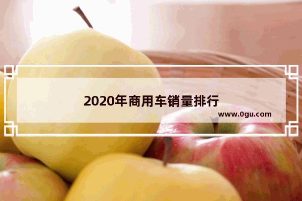 2020年商用车销量排行