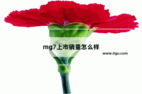 mg7上市销量怎么样