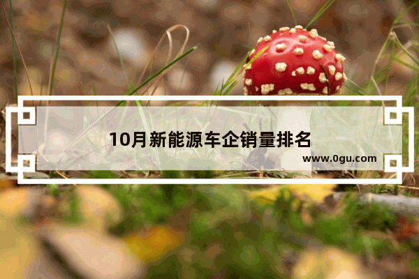 10月新能源车企销量排名