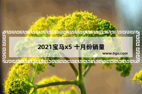 2021宝马x5 十月份销量