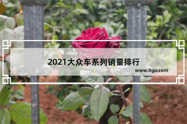 2021大众车系列销量排行