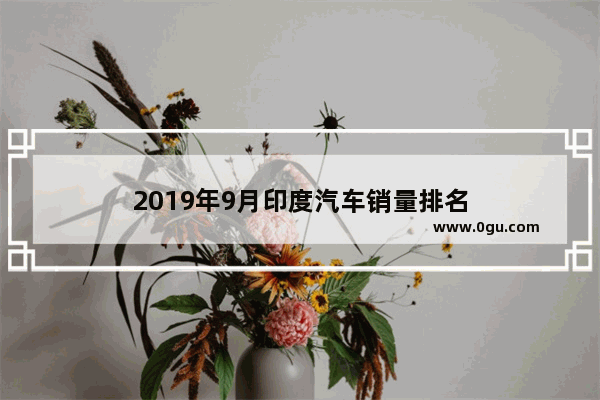 2019年9月印度汽车销量排名