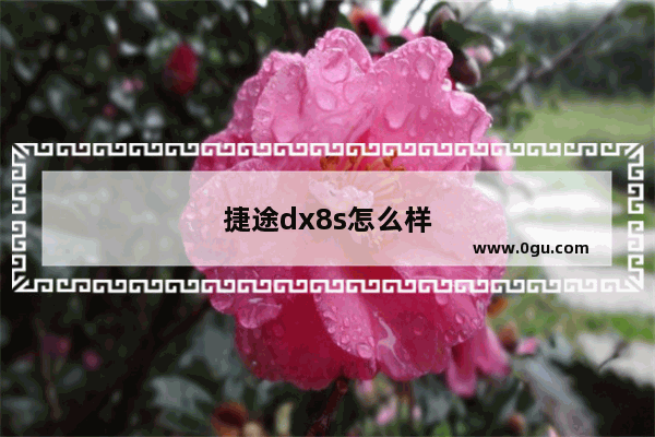 捷途dx8s怎么样