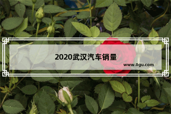 2020武汉汽车销量