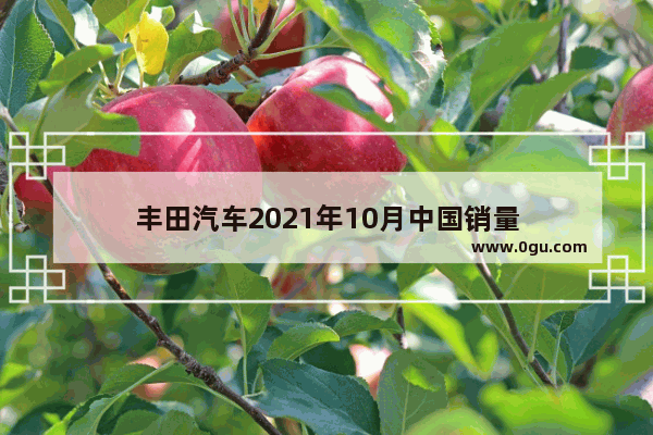 丰田汽车2021年10月中国销量