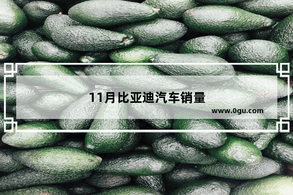 11月比亚迪汽车销量