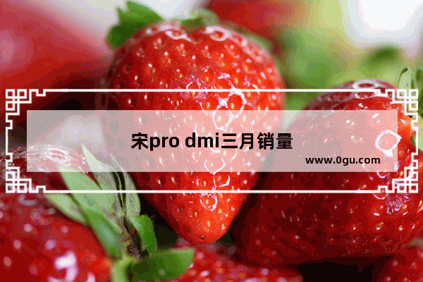 宋pro dmi三月销量