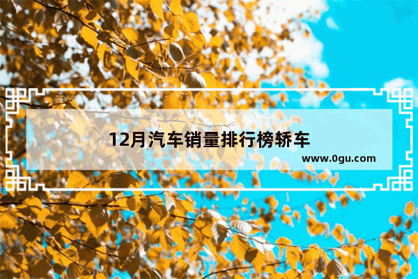 12月汽车销量排行榜轿车