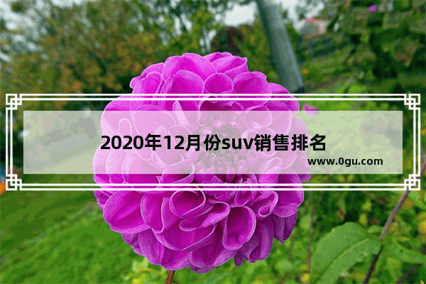 2020年12月份suv销售排名