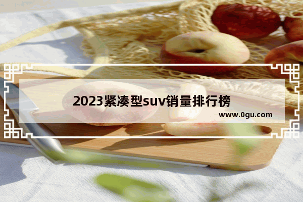 2023紧凑型suv销量排行榜