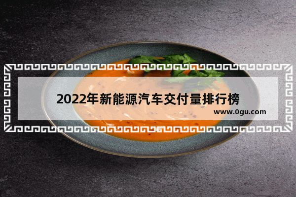 2022年新能源汽车交付量排行榜