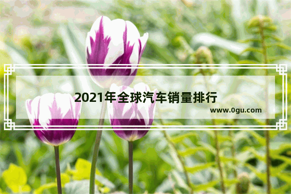 2021年全球汽车销量排行