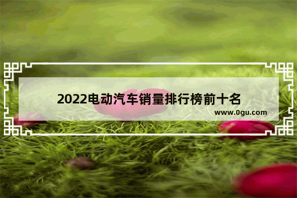 2022电动汽车销量排行榜前十名