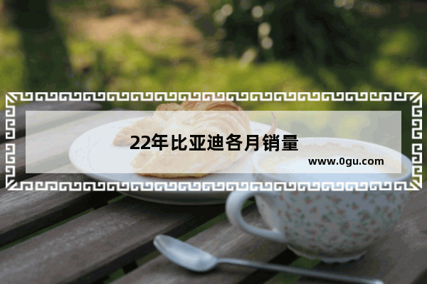 22年比亚迪各月销量