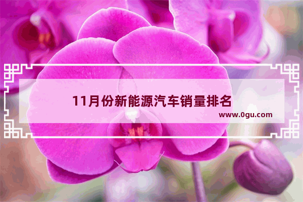 11月份新能源汽车销量排名