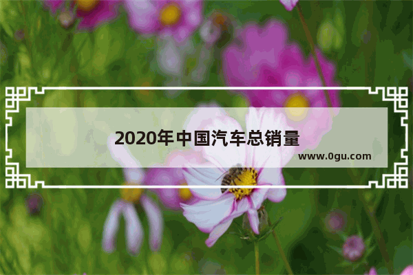 2020年中国汽车总销量