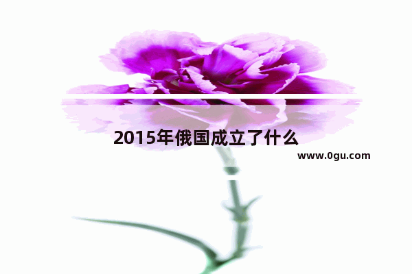 2015年俄国成立了什么