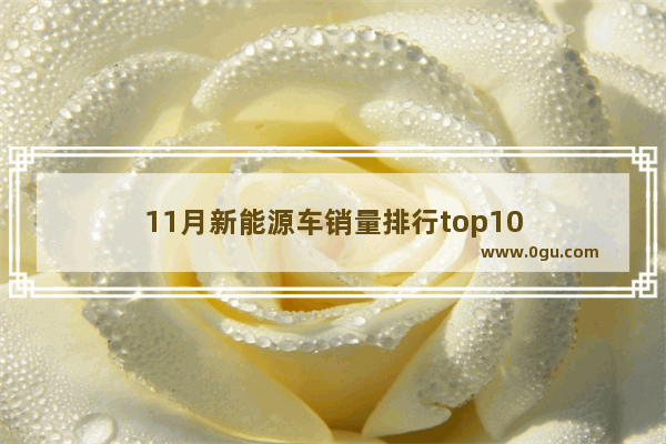 11月新能源车销量排行top10