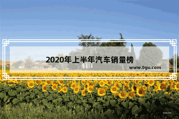 2020年上半年汽车销量榜