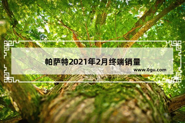 帕萨特2021年2月终端销量