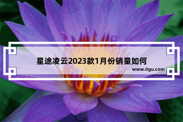 星途凌云2023款1月份销量如何