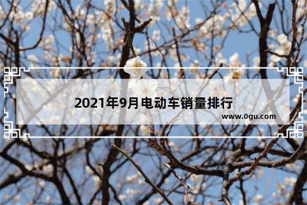 2021年9月电动车销量排行