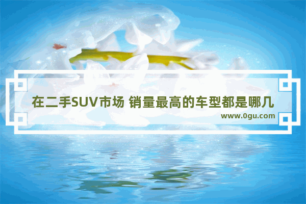 在二手SUV市场 销量最高的车型都是哪几款