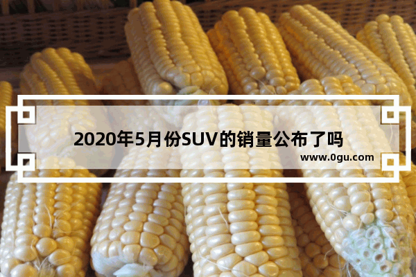 2020年5月份SUV的销量公布了吗