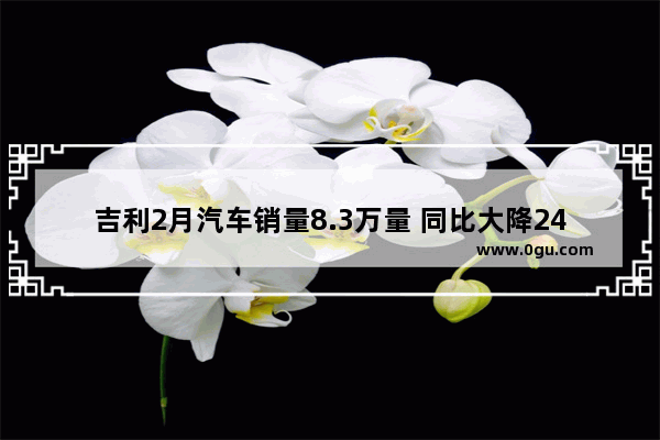 吉利2月汽车销量8.3万量 同比大降24% 你怎么看这个问题