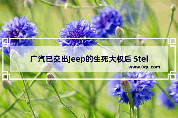 广汽已交出Jeep的生死大权后 Stellantis还能硬扛多久