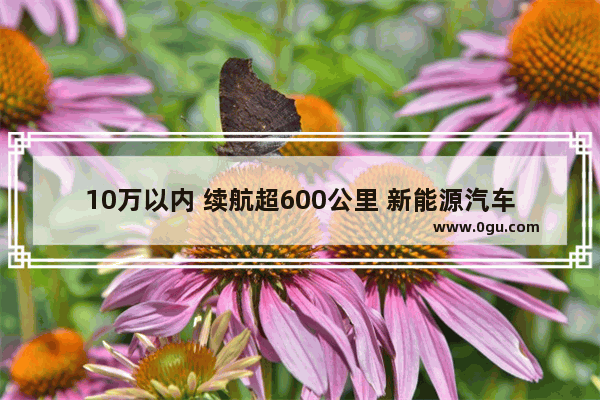 10万以内 续航超600公里 新能源汽车有哪些推荐