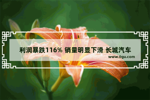 利润暴跌116% 销量明显下滑 长城汽车究竟怎么了